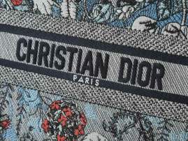 Picture of Dior Handbags _SKUfw242188150fw